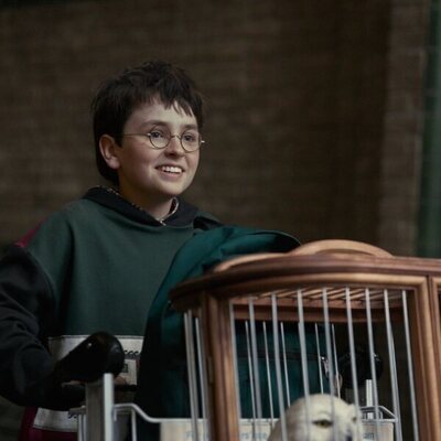 Harry Potter