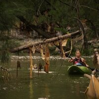 Depredador dominante