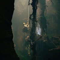 Depredador dominante