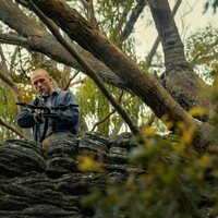 Depredador dominante