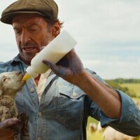 Las ovejas detectives