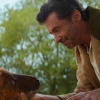 Las ovejas detectives