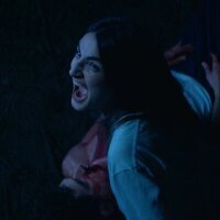 La casa en el árbol