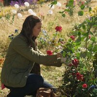 Kentucky Roses