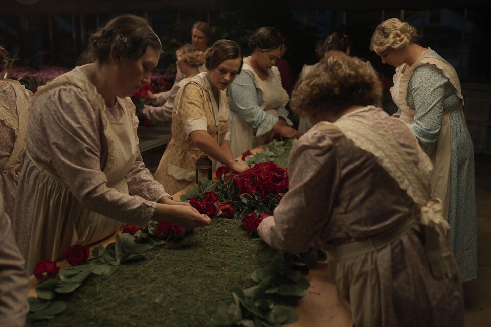 Kentucky Roses