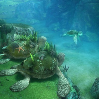 Las aventuras de Sammy