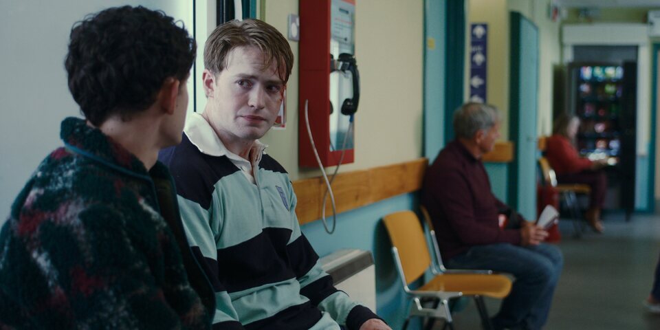 Heartstopper para siempre