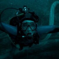 Whalefall