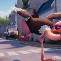Rufus, la serpiente que no sabía nadar