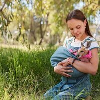 Kangaroo: Una aventura en Australia