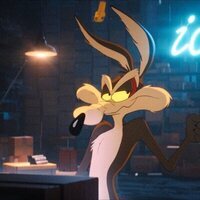 Coyote contra Acme