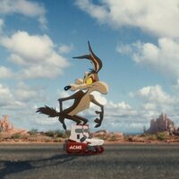 Coyote contra Acme