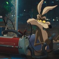 Coyote contra Acme