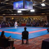 Karateka