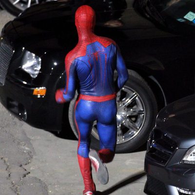 El sorprendente Hombre Araña