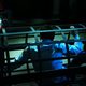 Saw 3D