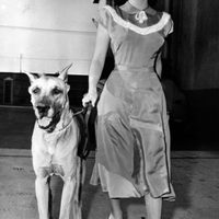 Elizabeth Taylor en 1948