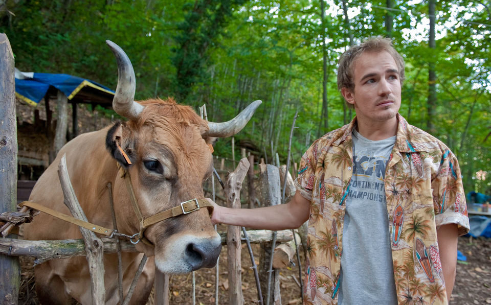 ¿Para qué sirve un oso?