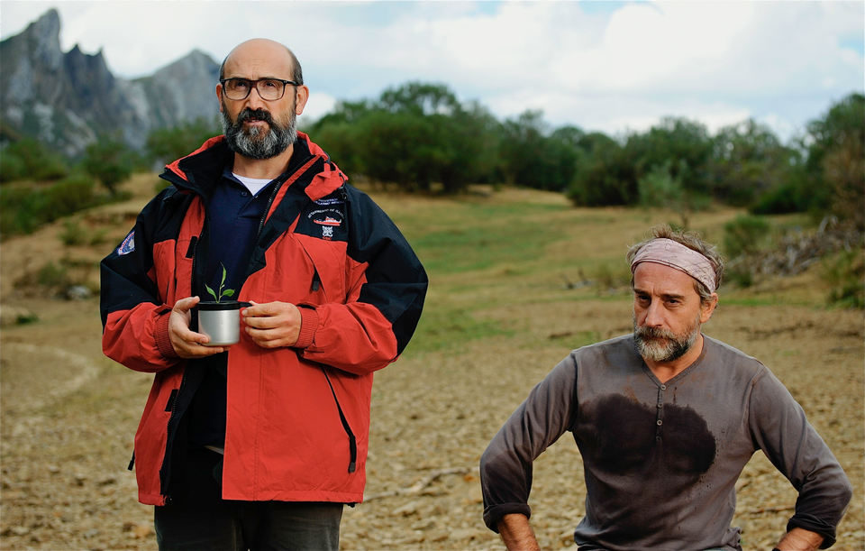 ¿Para qué sirve un oso?