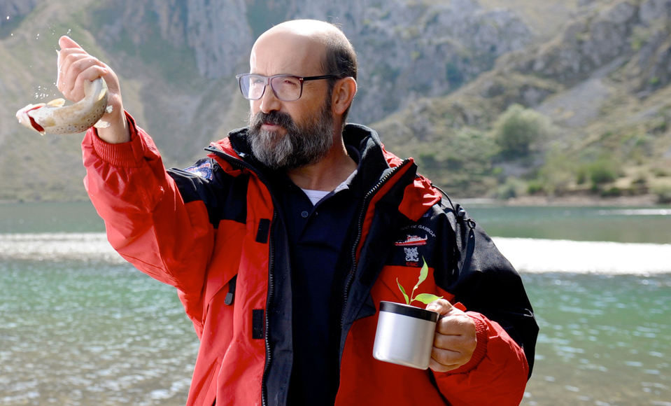 ¿Para qué sirve un oso?