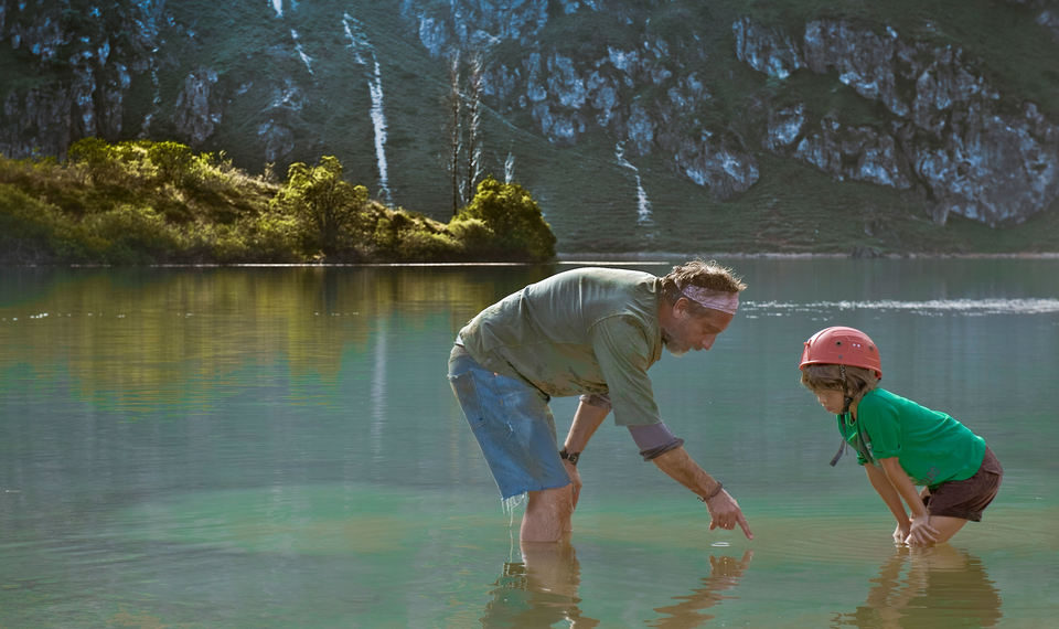 ¿Para qué sirve un oso?
