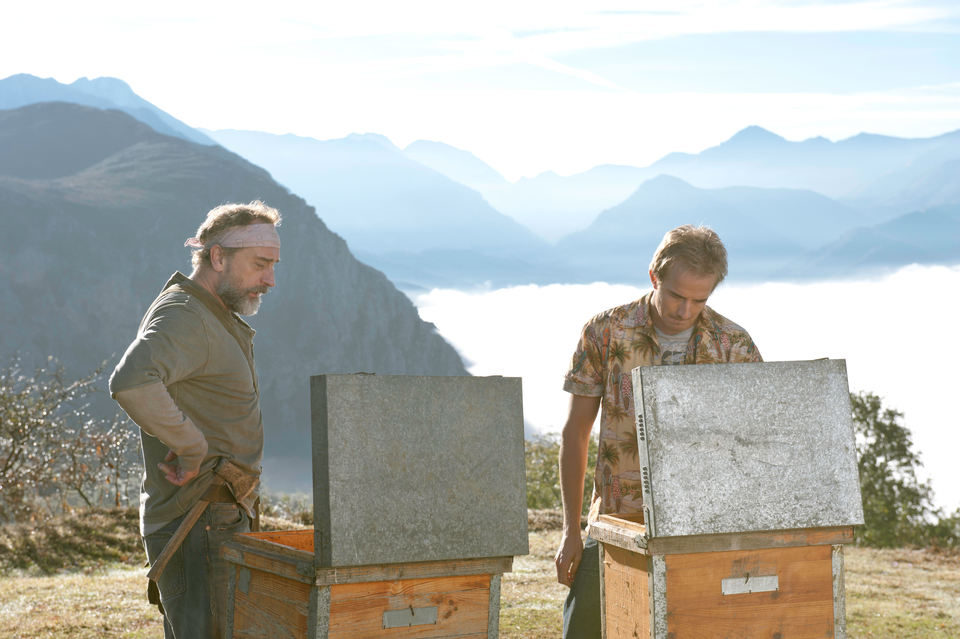 ¿Para qué sirve un oso?