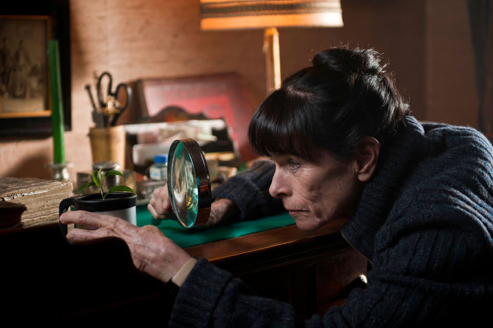 ¿Para qué sirve un oso?