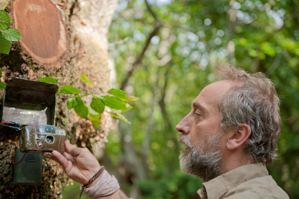 ¿Para qué sirve un oso?
