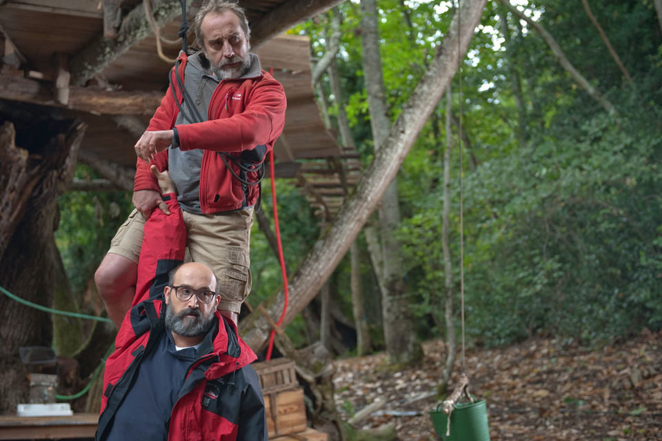 ¿Para qué sirve un oso?