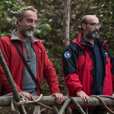 ¿Para qué sirve un oso?