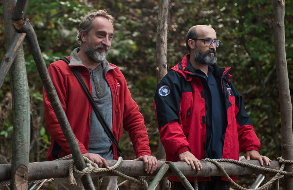 ¿Para qué sirve un oso?