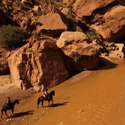 Blackthorn. Sin destino