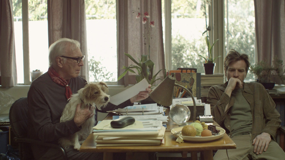 Beginners (Principiantes)