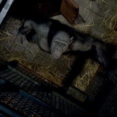 El origen del planeta de los simios