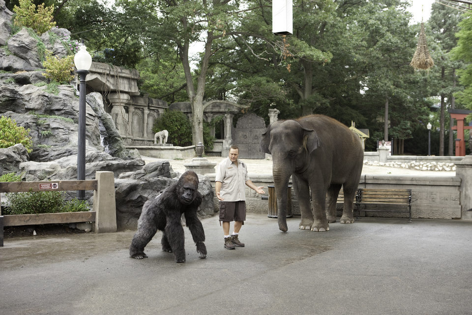 Zooloco