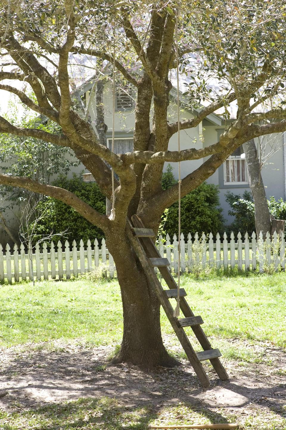 El árbol de la vida