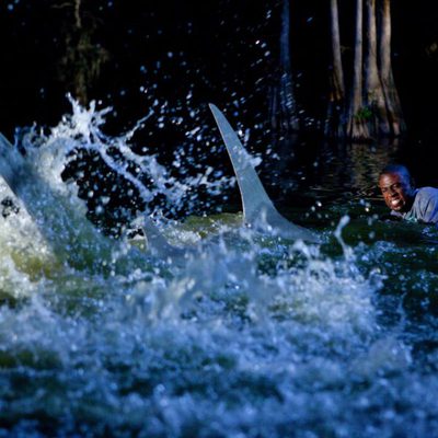 Tiburón 3D: La presa