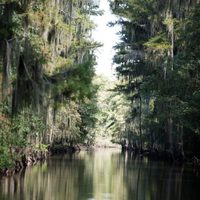 Tiburón 3D: La presa