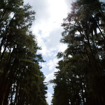 Tiburón 3D: La presa