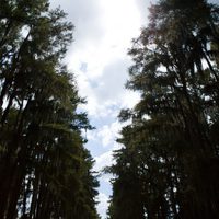 Tiburón 3D: La presa