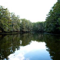 Tiburón 3D: La presa