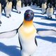Happy Feet 2