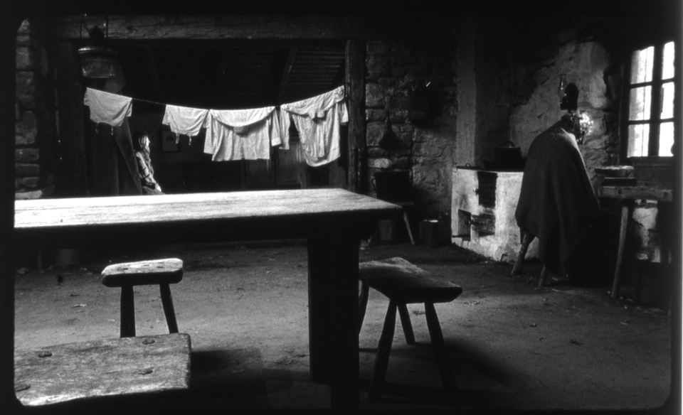The Turin horse