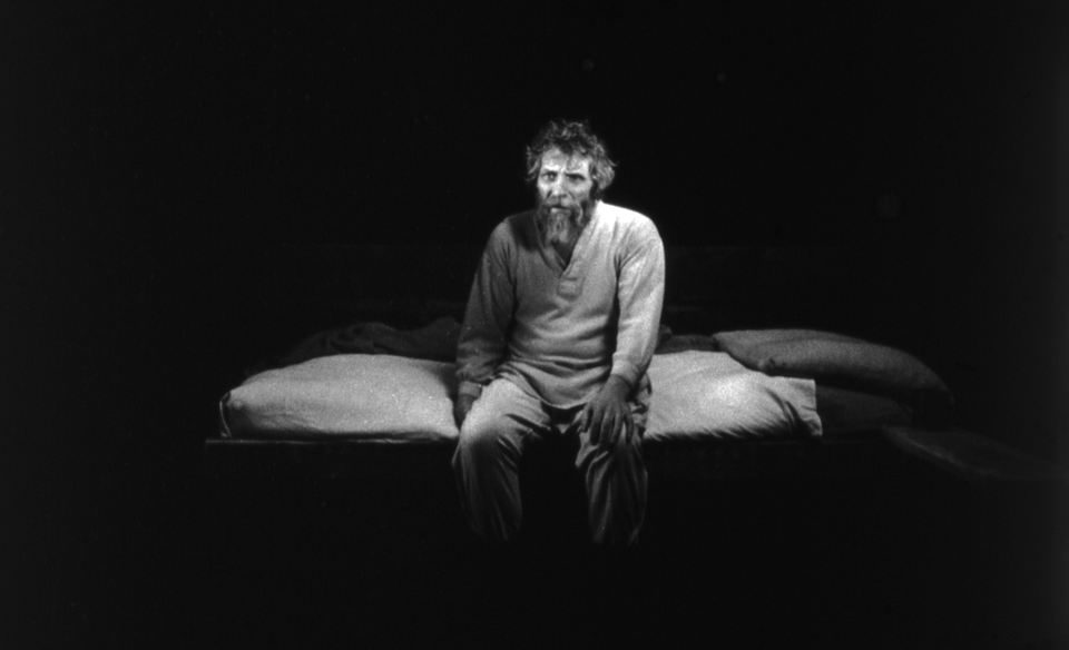 The Turin horse