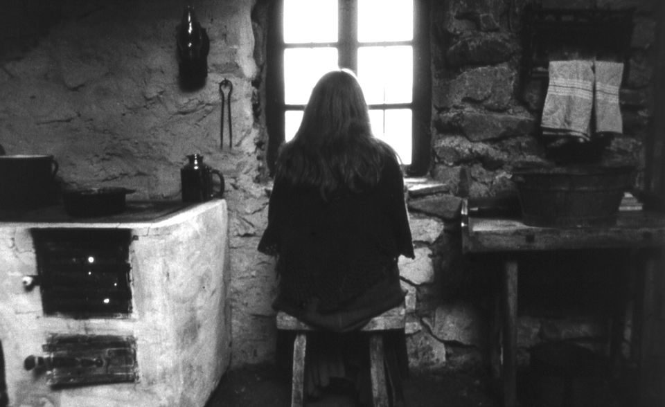 The Turin horse