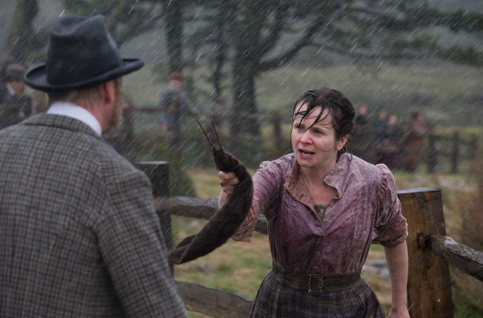 War Horse (Caballo de batalla)