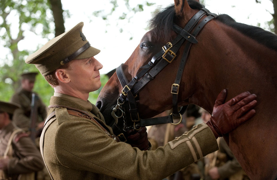 War Horse (Caballo de batalla)