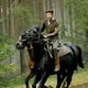 War Horse (Caballo de batalla)