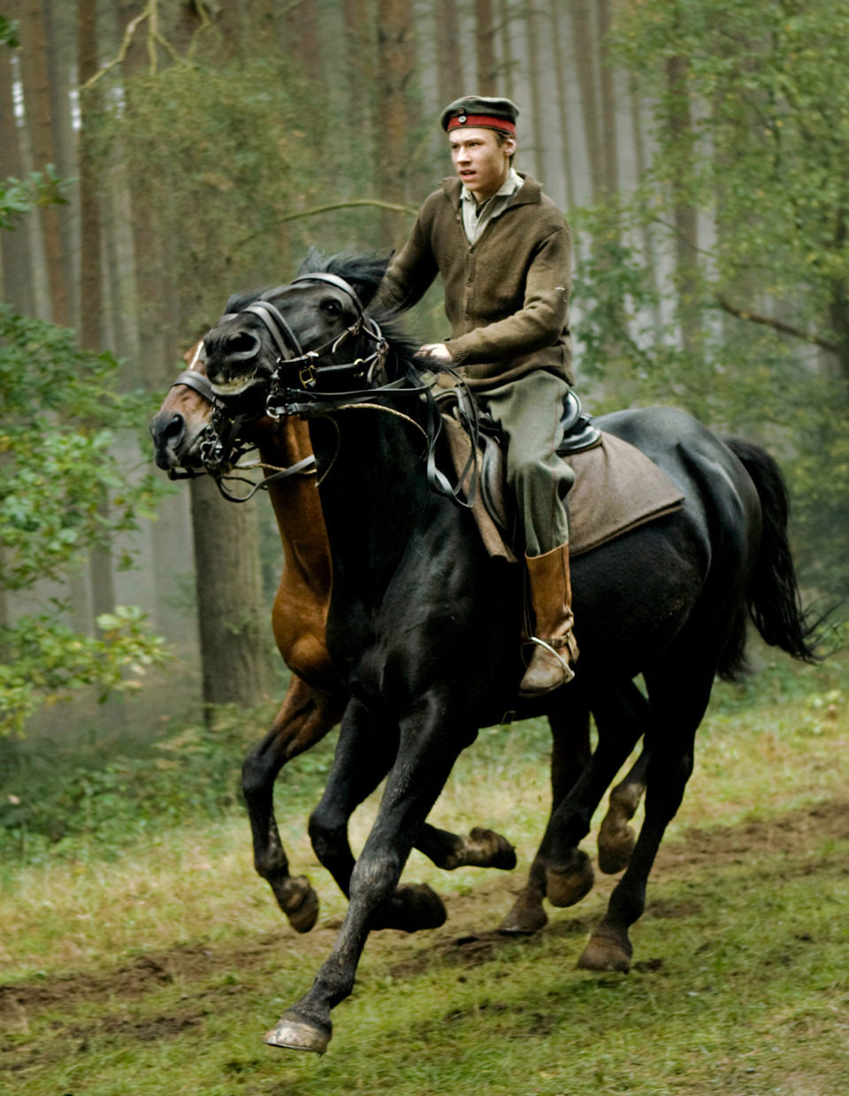 War Horse (Caballo de batalla)
