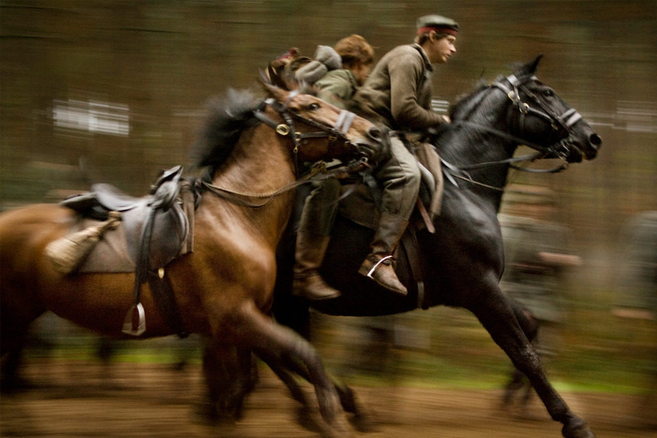 War Horse (Caballo de batalla)